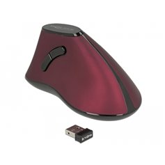Delock Ergonomic vertical optical 5-button mouse 2.4 GHz wireless