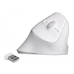 Delock Ergonomic USB Mouse vertical - wireless
