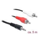 Delock Cable Audio 3.5 mm stereo jack male > 2 x RCA male 5 m