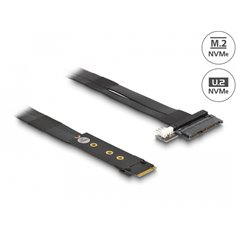 Delock M.2 Key M to U.2 SFF-8639 NVMe Adapter with 20 cm cable